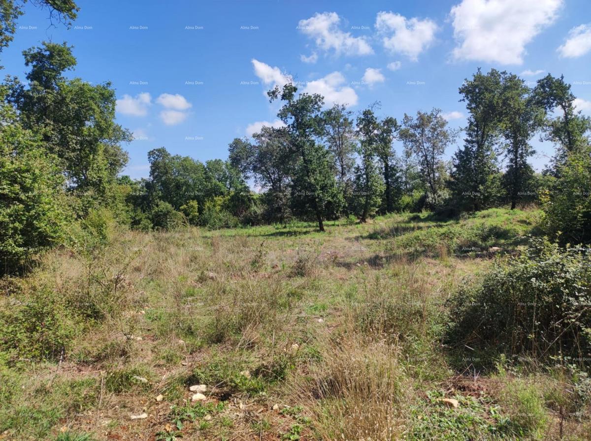 Vendita - TERRENO AGRICOLO, Pula, Valtura!