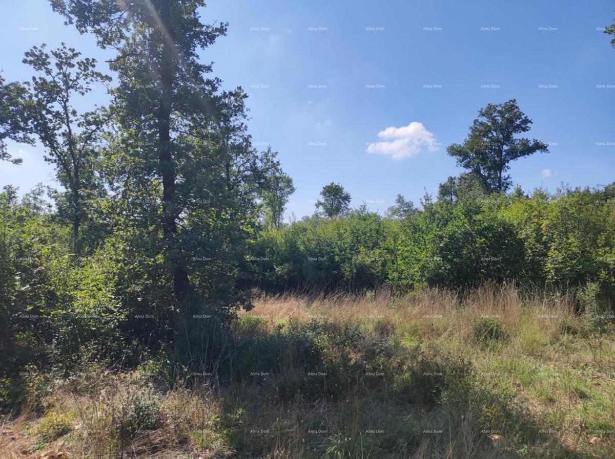 Vendita - TERRENO AGRICOLO, Pula, Valtura!