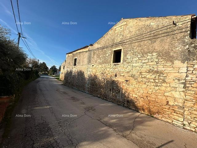 Rovine di case a Šišan