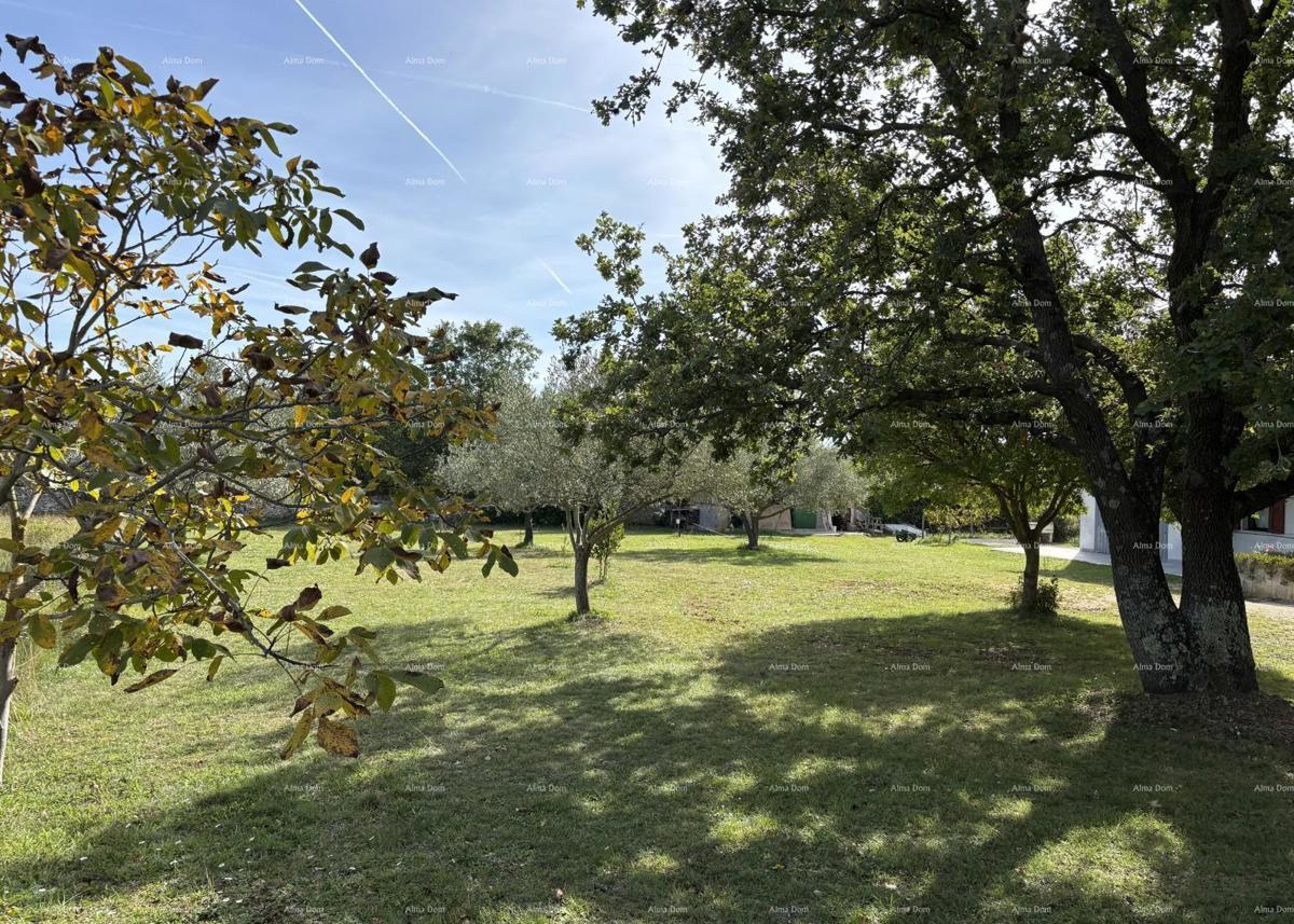 DIGNANO - Vendita / terreno edificabile di circa 700 m