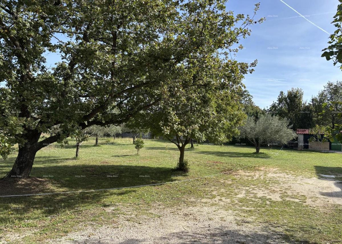 DIGNANO - Vendita / terreno edificabile di circa 700 m