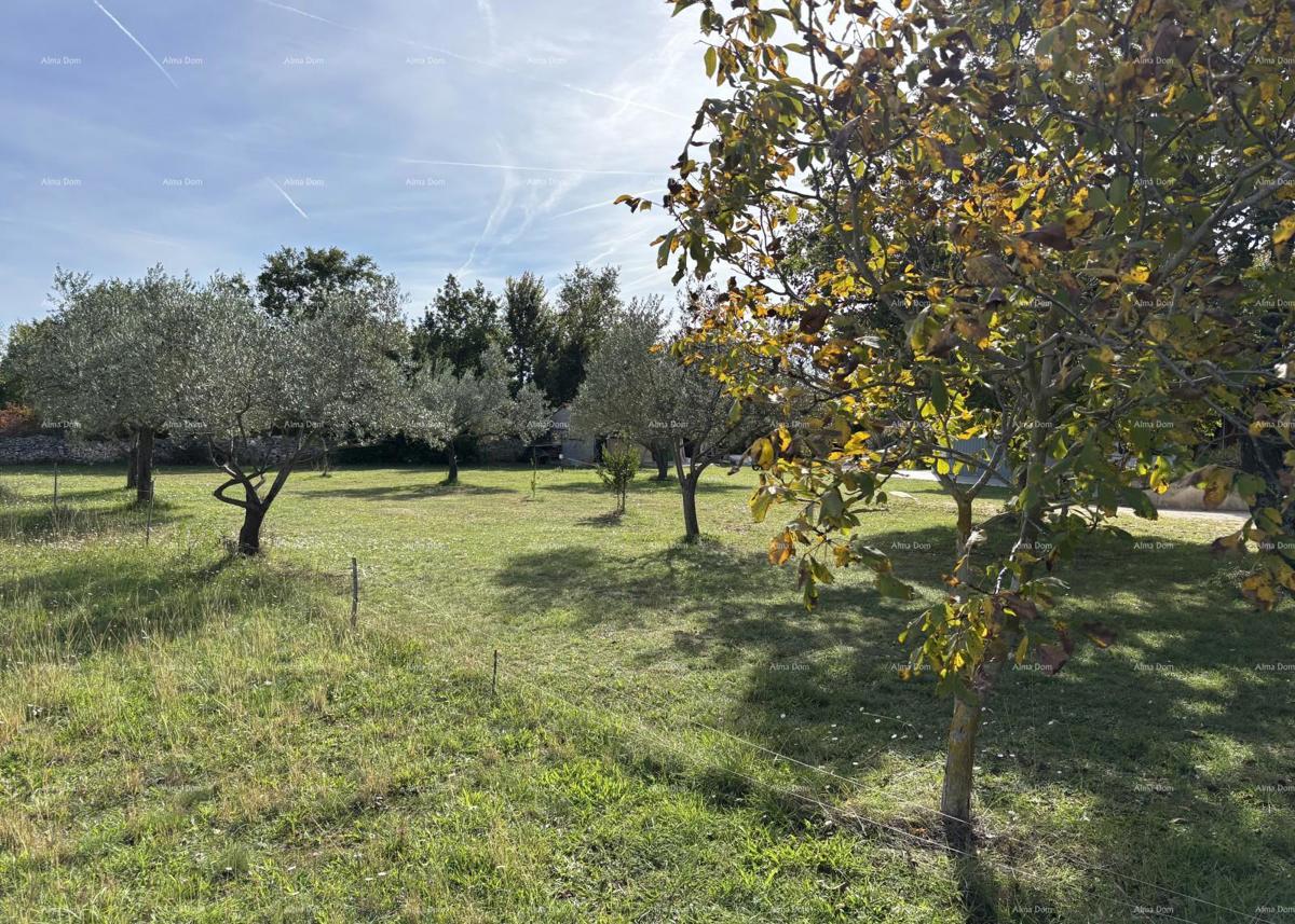 DIGNANO - Vendita / terreno edificabile di circa 700 m