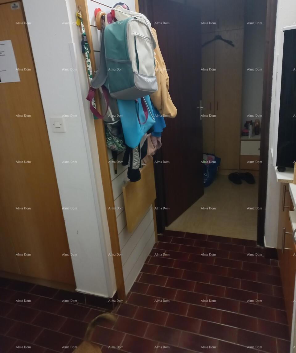 Appartamento di 32 m2 nel villaggio turistico di Mareda