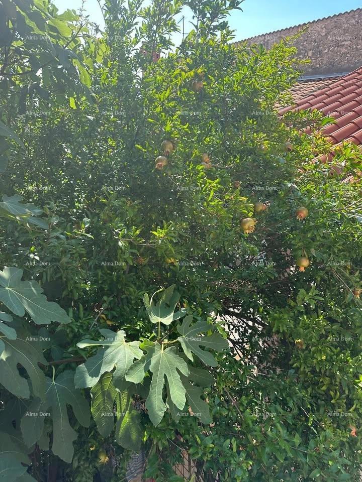 Casa nel centro di Pola – 100 m dall'Arena