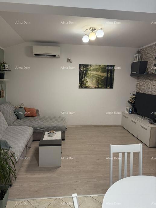 Žminj, Vendesi appartamento completamente arredato!