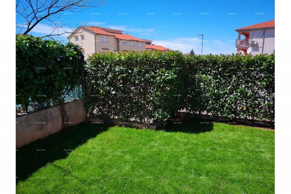 Prostrano stan s dvorištem, Tar