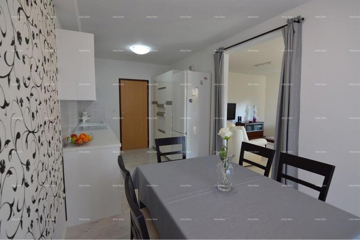 Prostrano stan s dvorištem, Tar