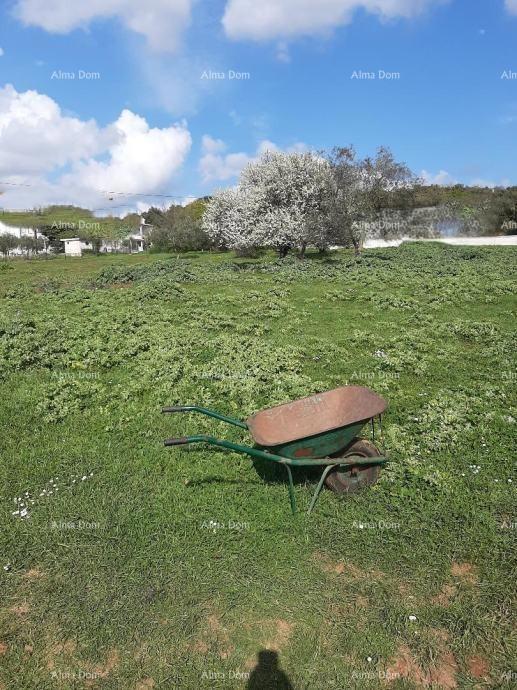 Sure! Please provide the title you would like me to translate into Italian.