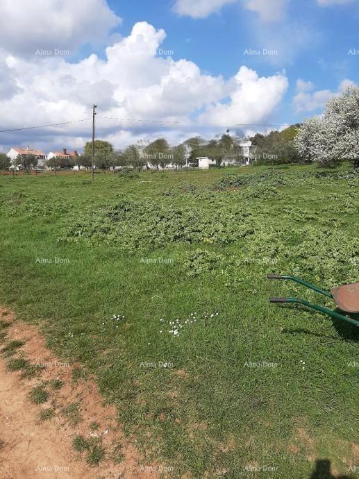 Sure! Please provide the title you would like me to translate into Italian.