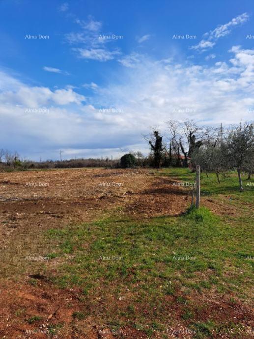 Terreno edificabile attraente per la costruzione di un edificio residenziale, Umago – 500 m dal mare!