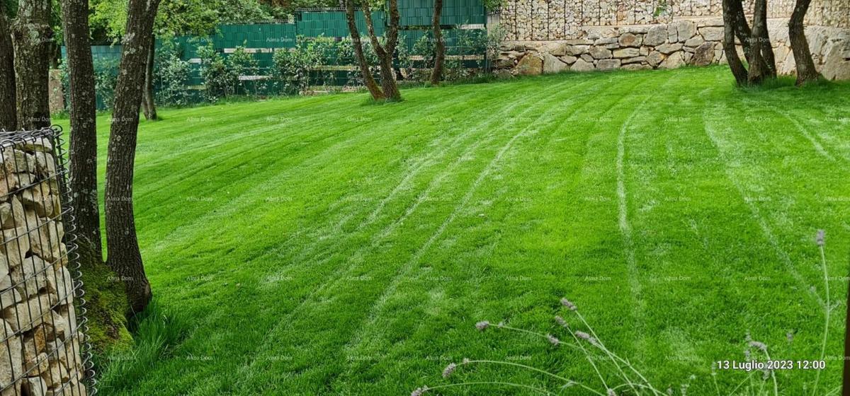 Vendita - villa di nuova costruzione - Barban!