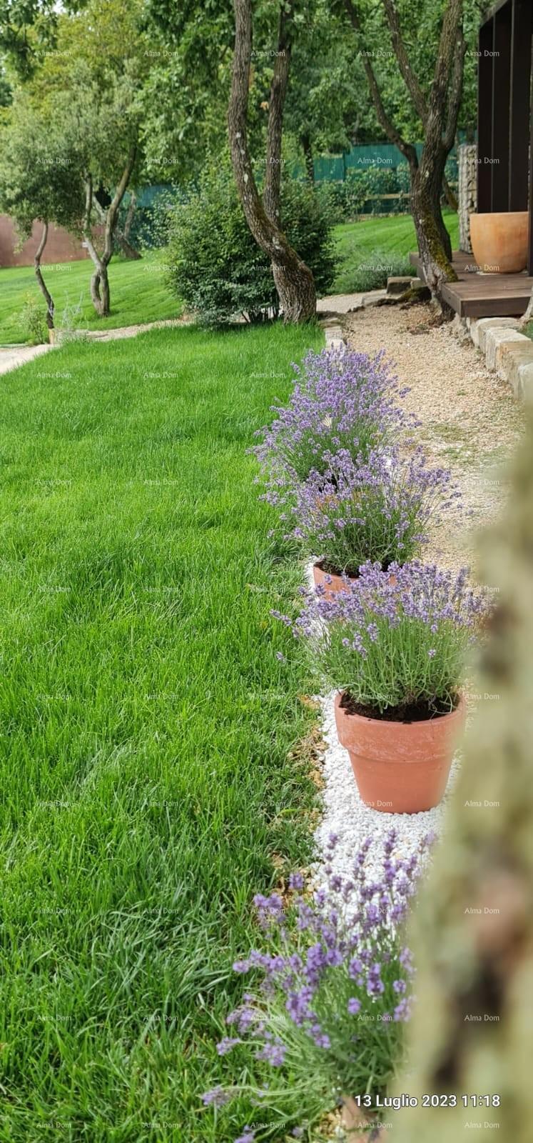 Vendita - villa di nuova costruzione - Barban!