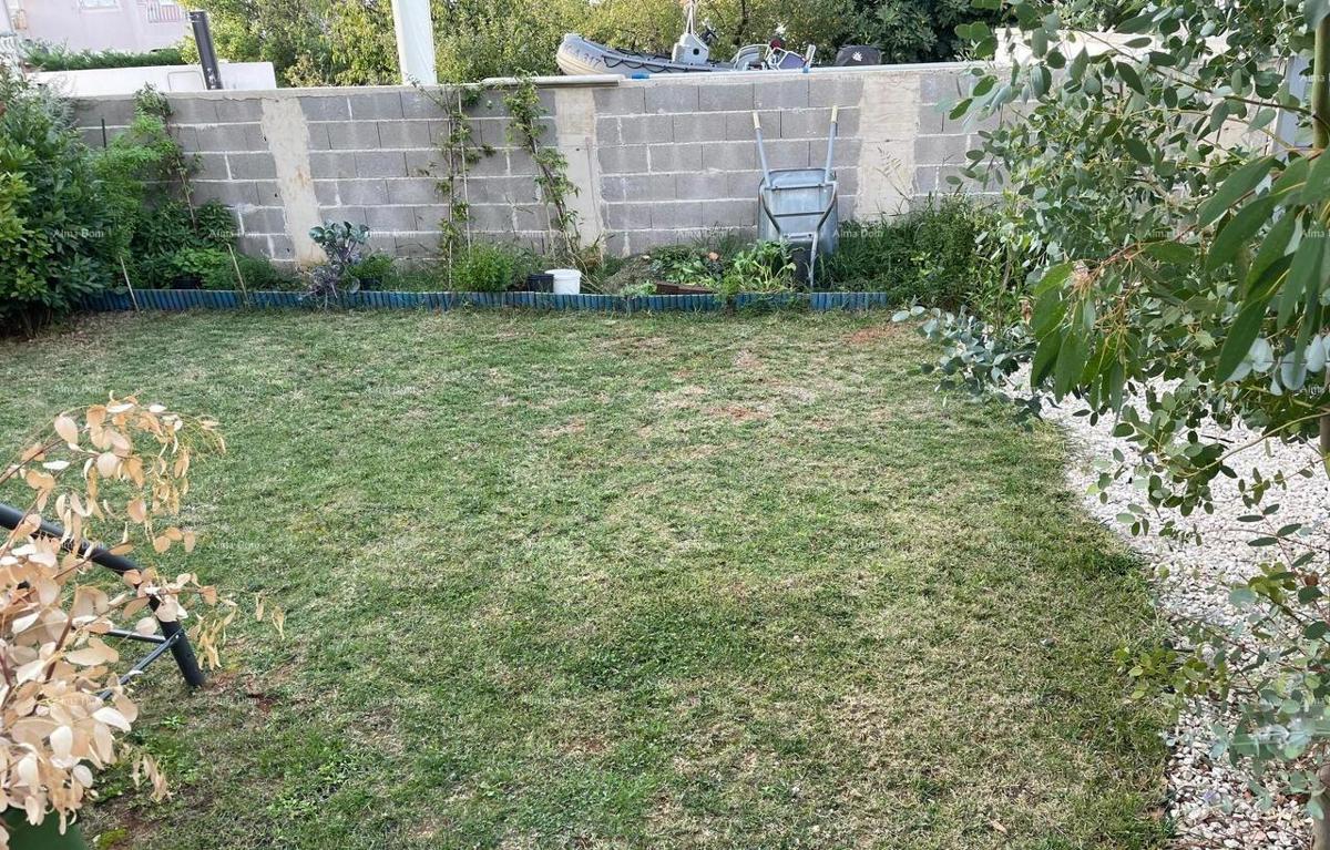 Stan al piano terra con grande giardino – Tar