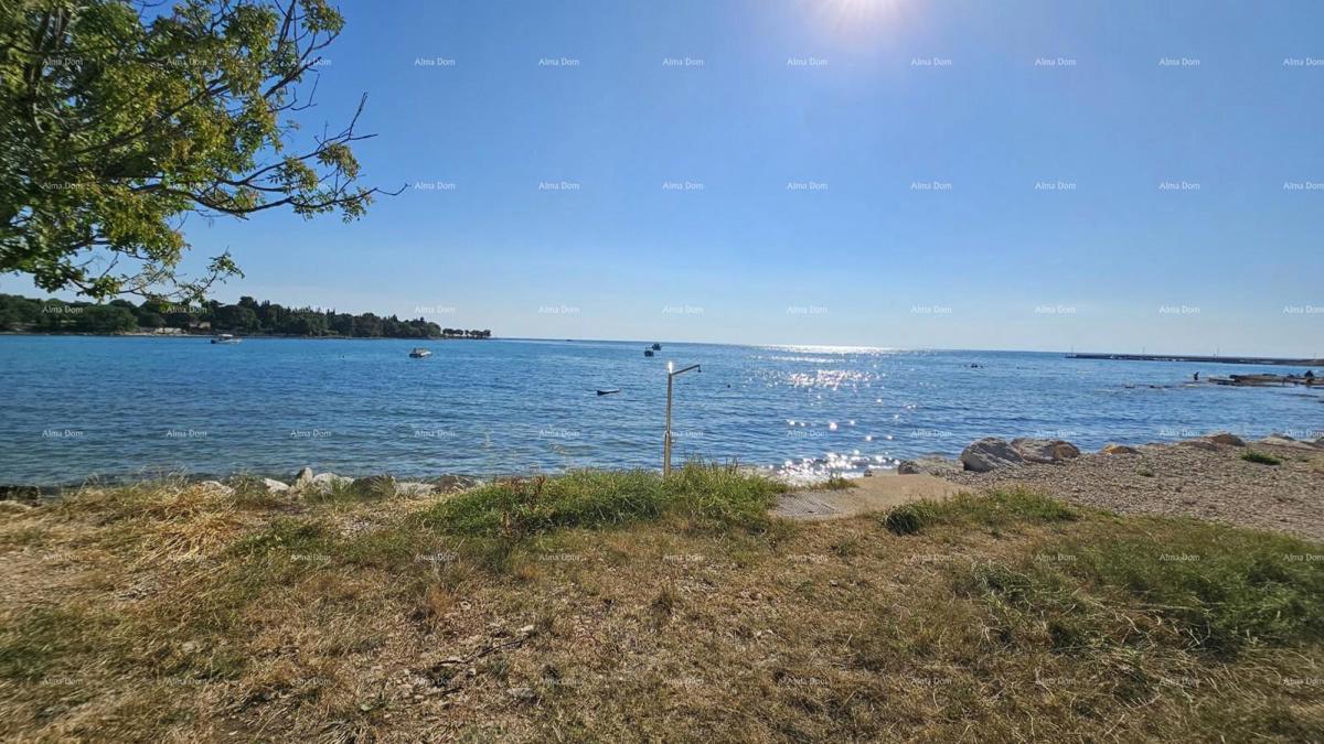 Istriana casa in pietra da ristrutturare