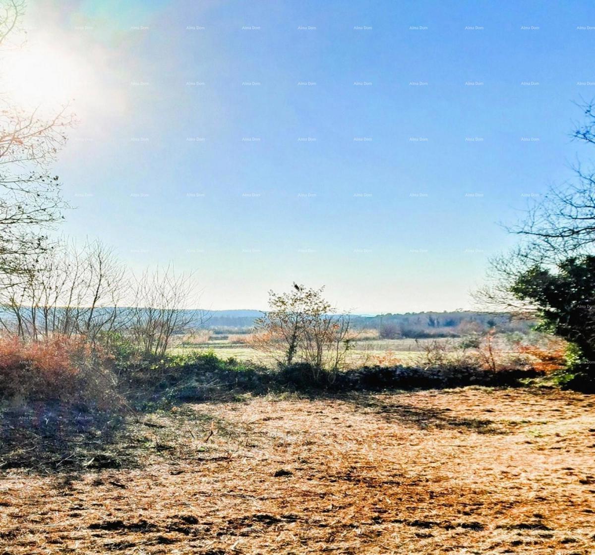 Višnjan – terreno edificabile di 3.500 m²