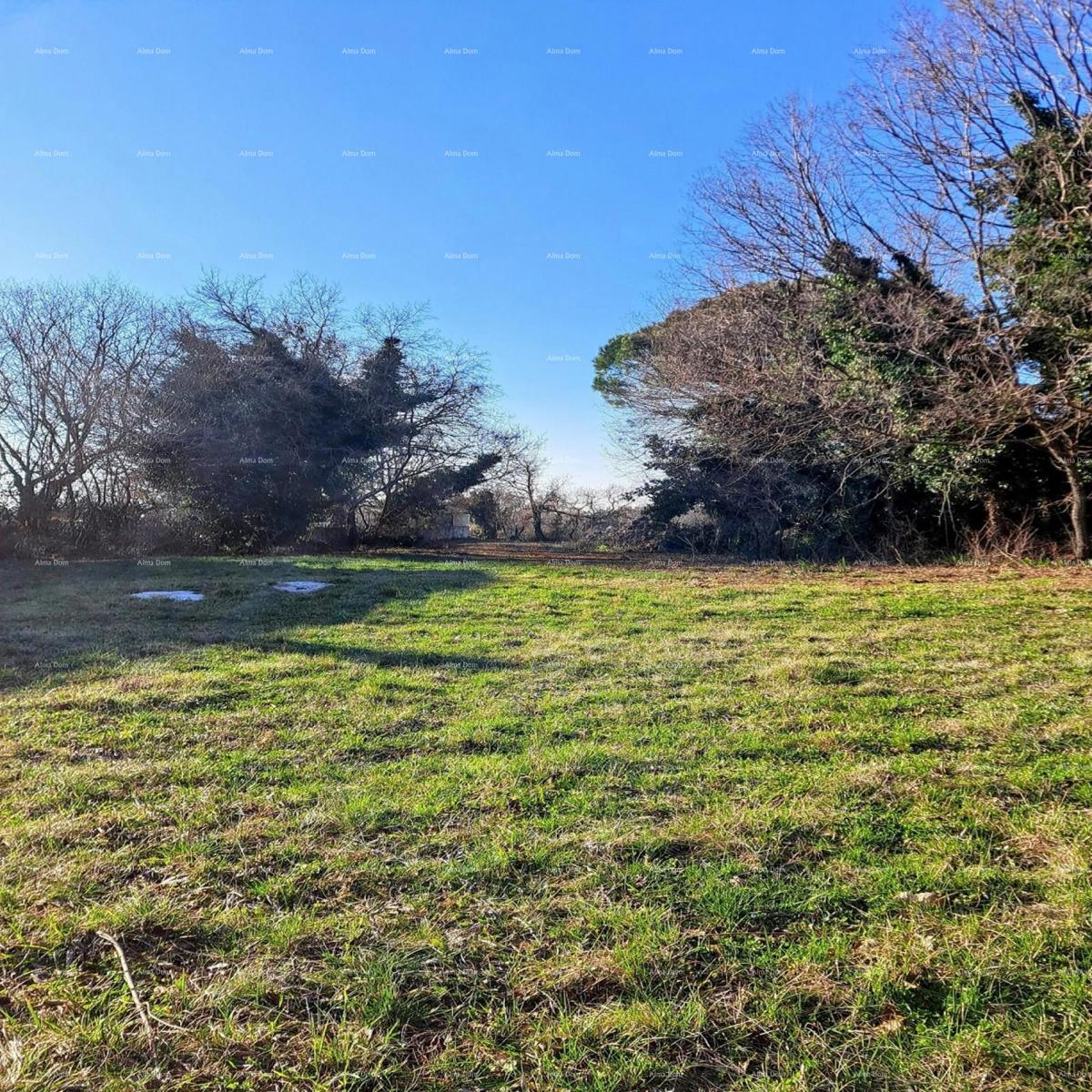 Višnjan – terreno edificabile di 3.500 m²