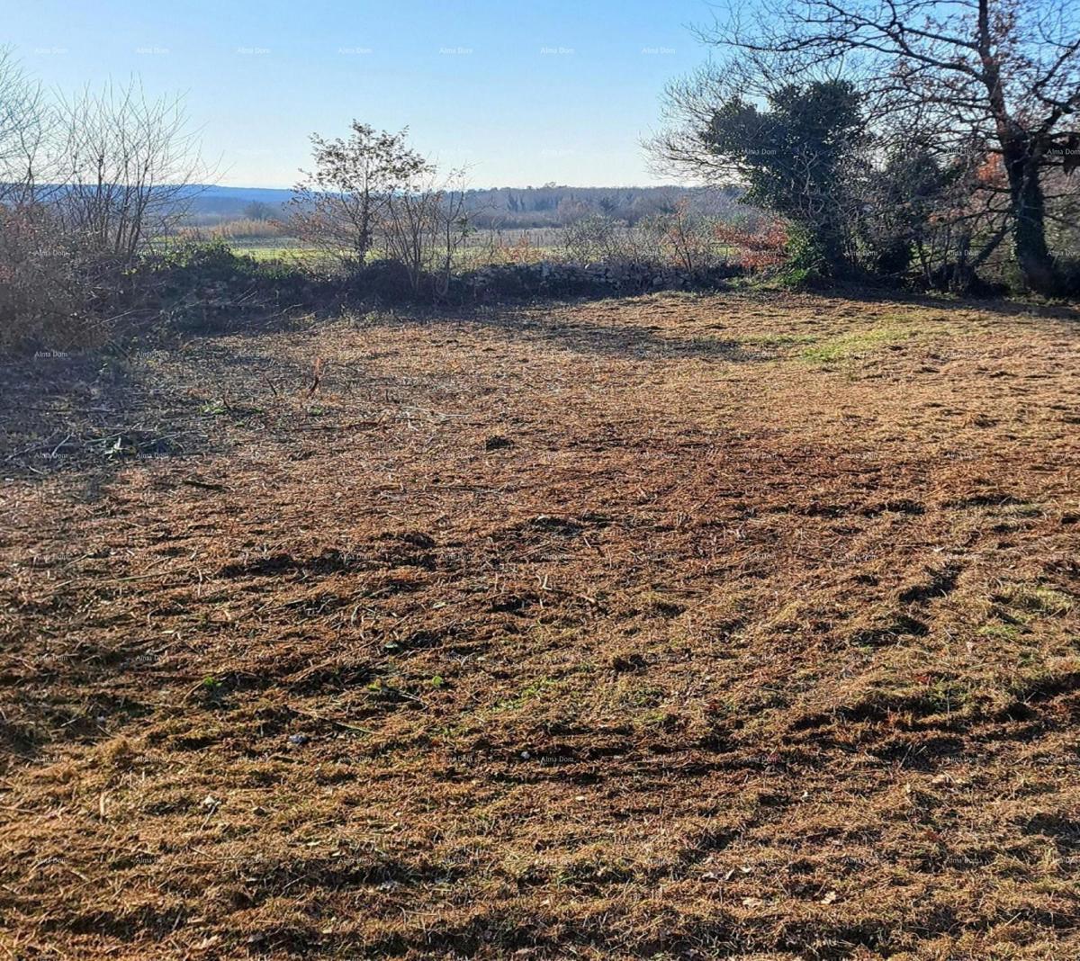Višnjan – terreno edificabile di 3.500 m²