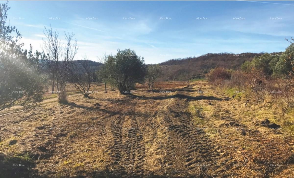 Villaggio isolato con terreno edificabile in vendita.