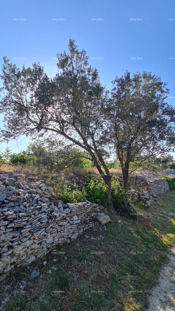 Terreno agricolo Fažana