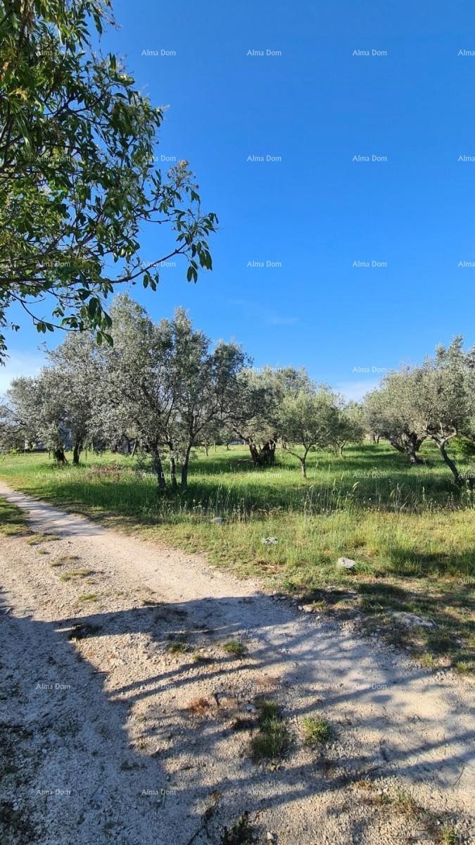 Terreno agricolo Fažana