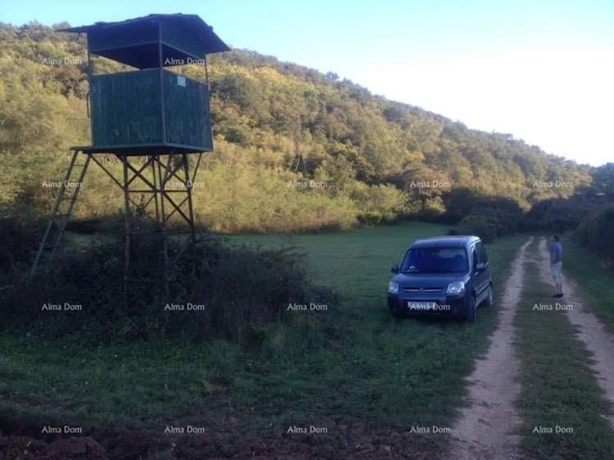 Terreno agricolo Kanfanar