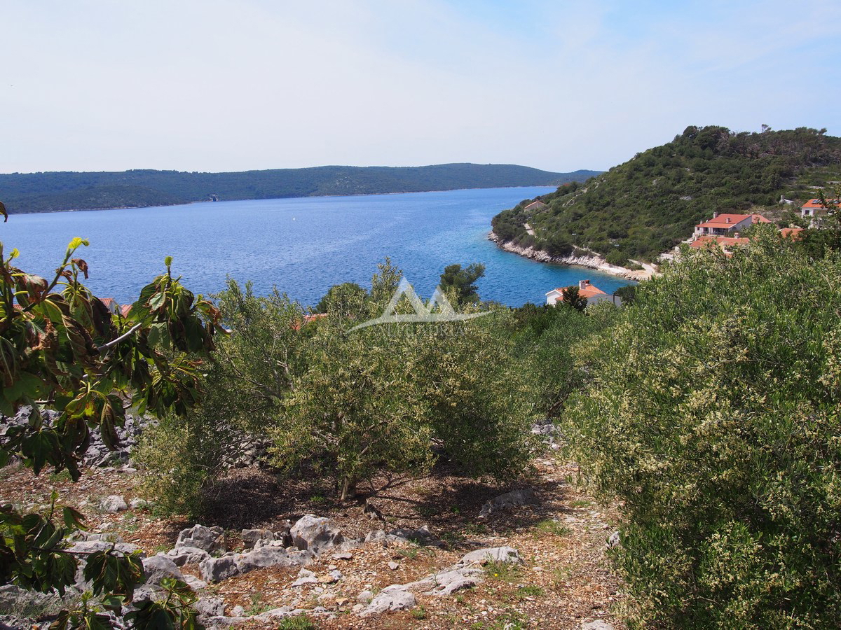 PRIMA FILA - ISOLA DI ZVERINAC - BELLISSIMO TERRENO EDIFICABILE 2.193 M2 - € 219.000