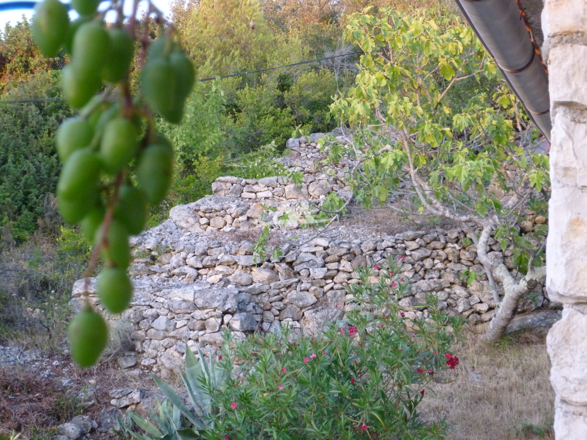 MALA RAVA - AFFASCINANTE CASA IN PIETRA IN VENDITA IN PRIMA FILA AL MARE