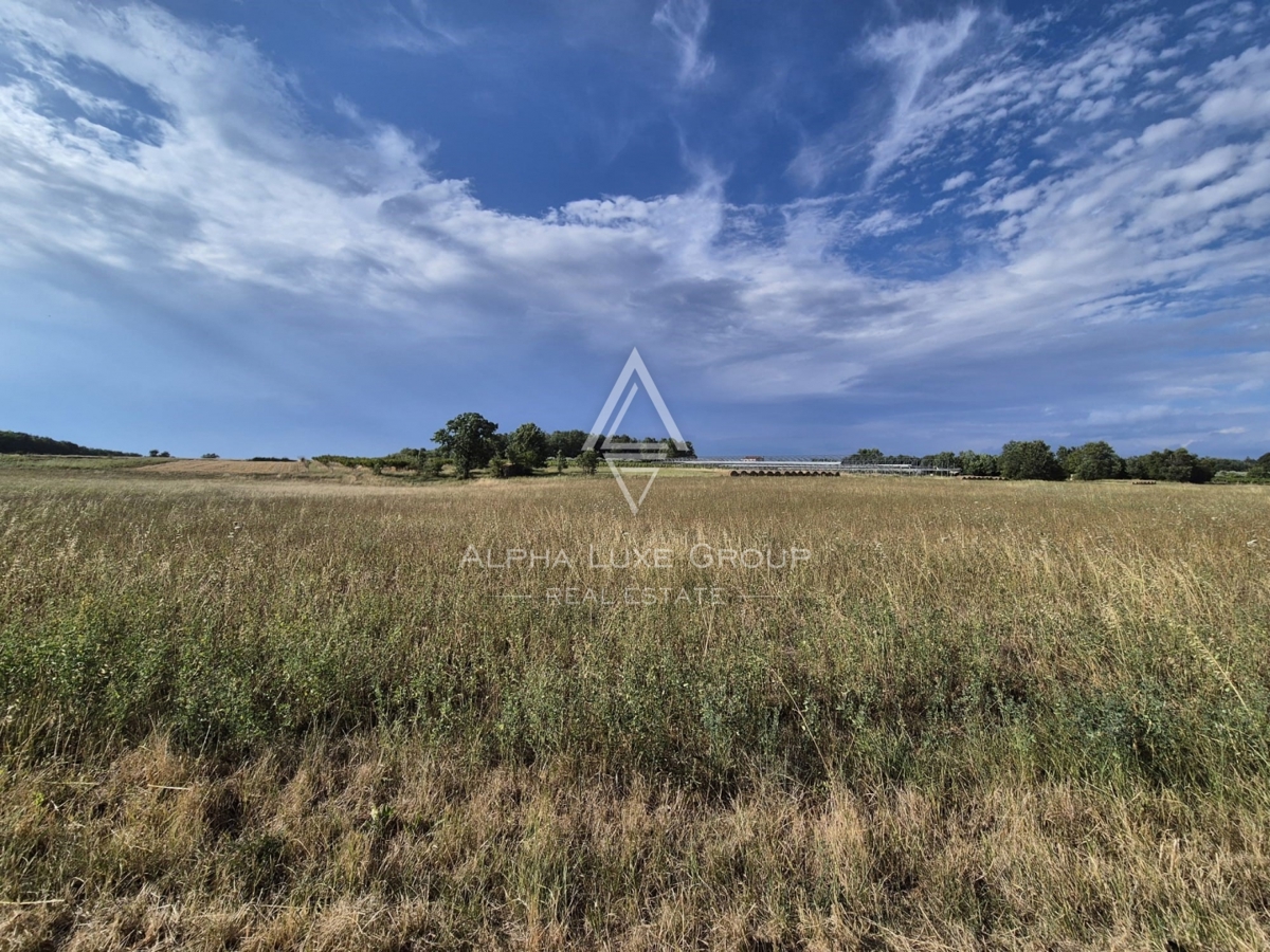 Istria, Castelliere: Terreno agricolo con bosco 24118 m²