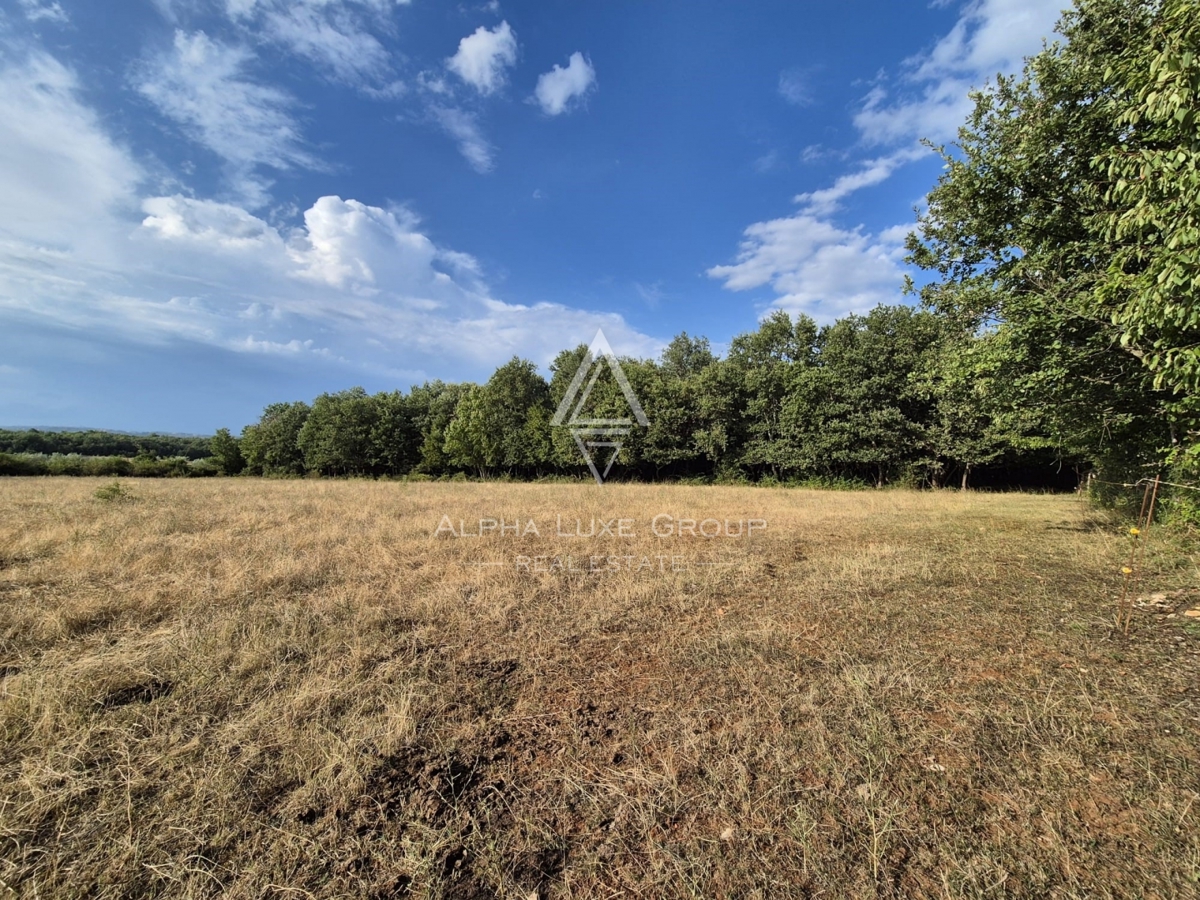 Istria, Castelliere: Terreno agricolo con bosco 24118 m²