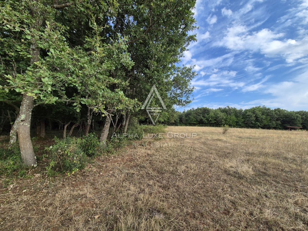 Istria, Castelliere: Terreno agricolo con bosco 24118 m²