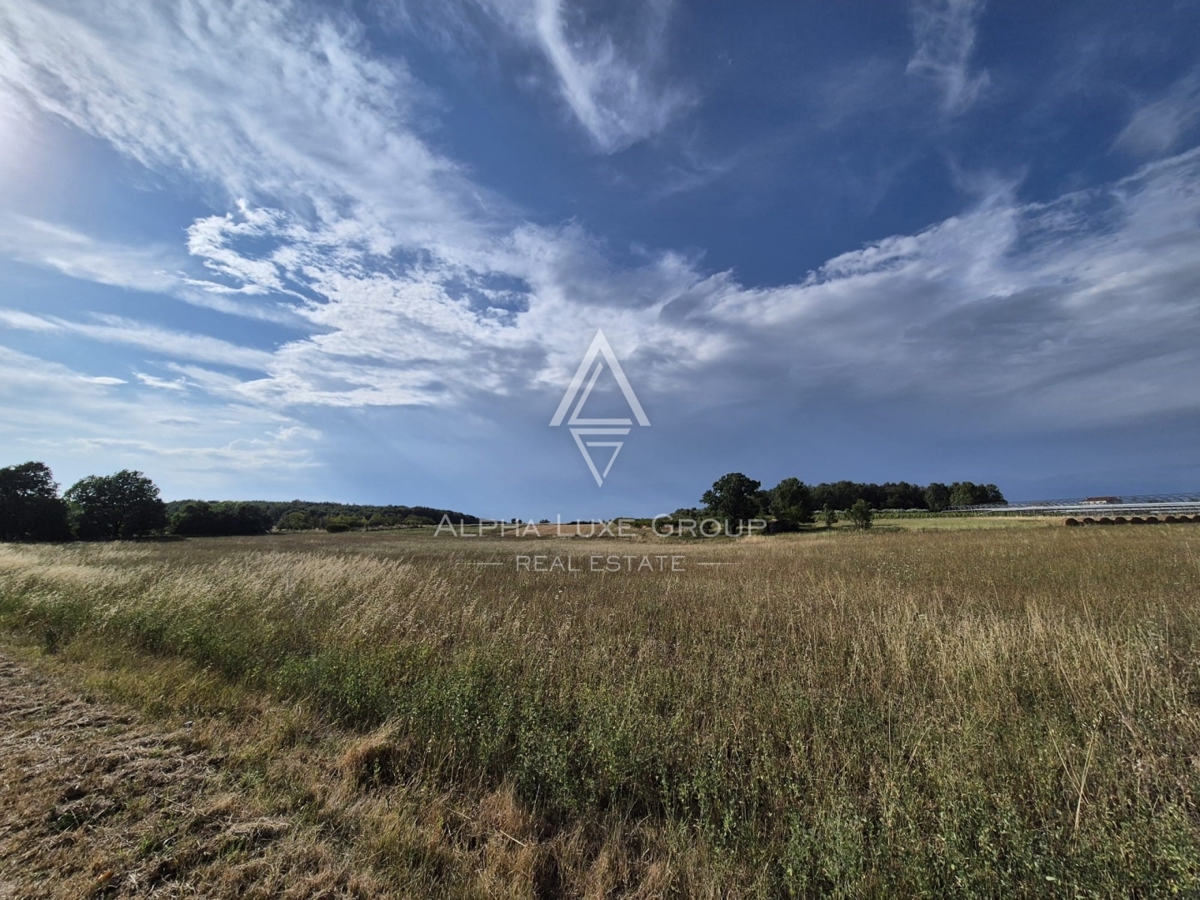 Istria, Castelliere: Terreno agricolo con bosco 24118 m²