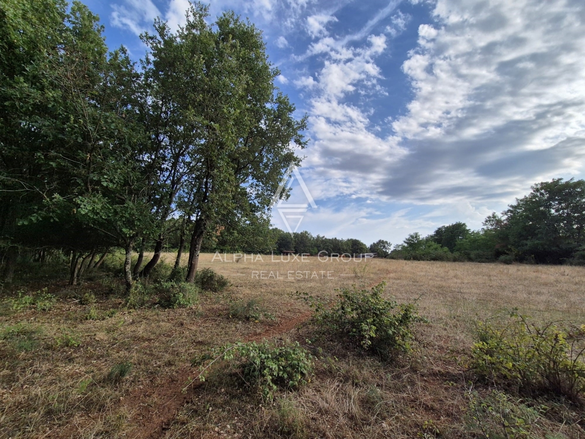 Istria, Castelliere: Terreno agricolo con bosco 24118 m²