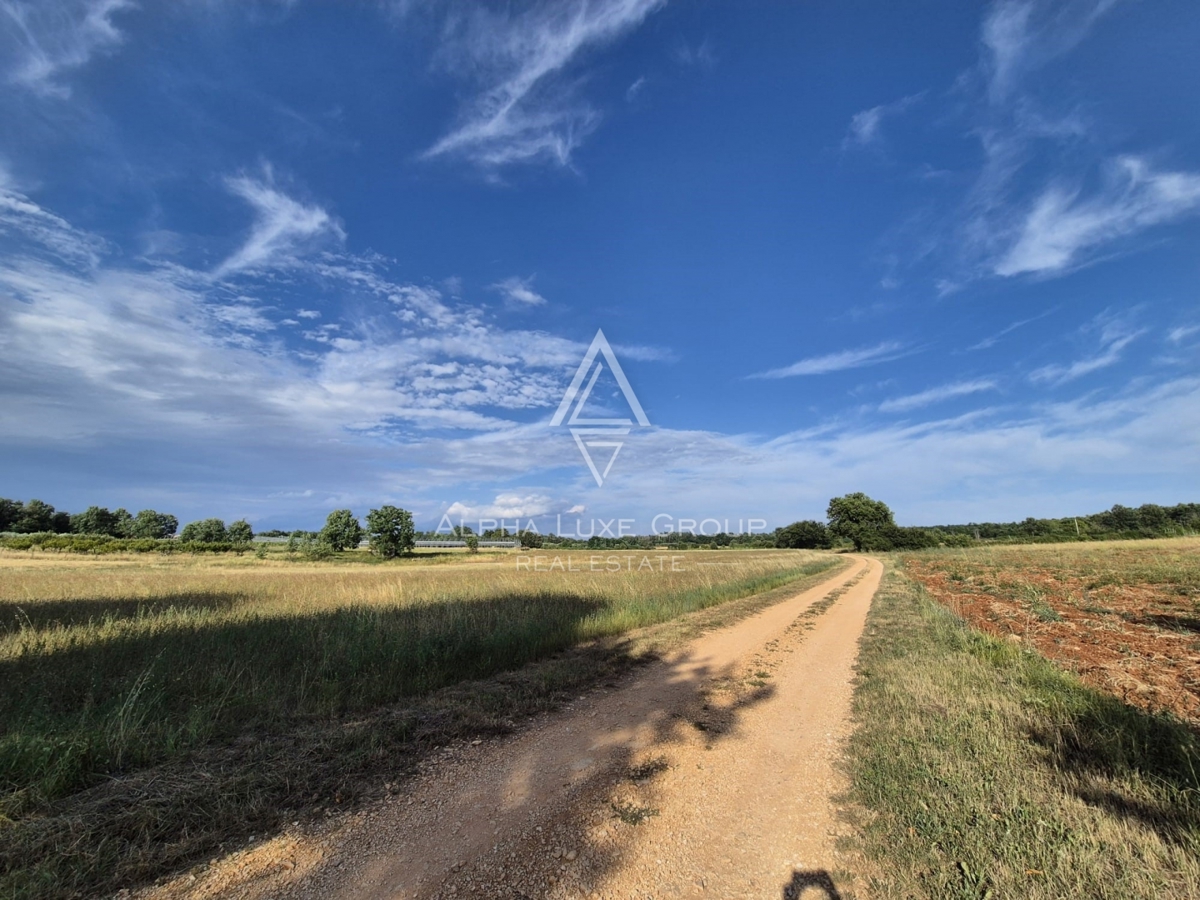 Istria, Castelliere: Terreno agricolo con bosco 24118 m²