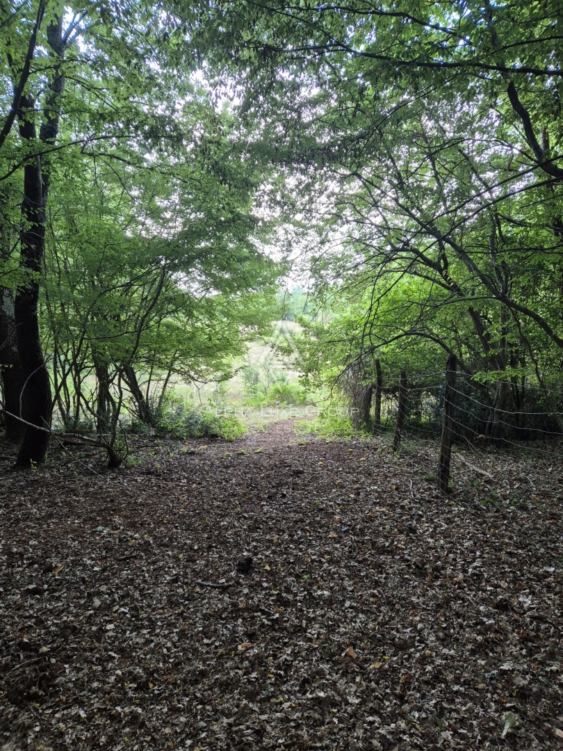 Istria, Castelliere: Terreno agricolo con bosco 24118 m²