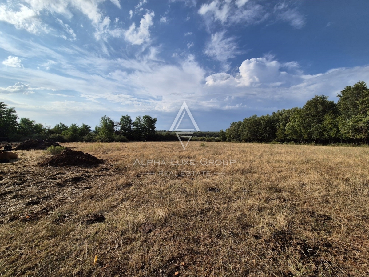 Istria, Castelliere: Terreno agricolo con bosco 24118 m²