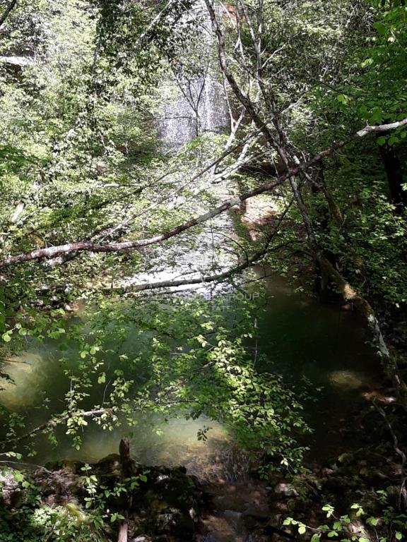 Momjan, Istria - Storica casa di pietra con piscina