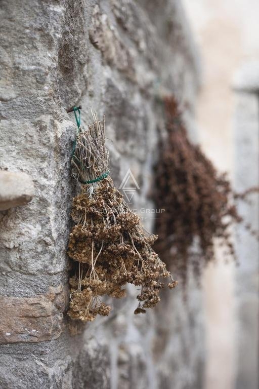 Istria, Gračišće - Incantevole tripletta di case in pietra ristrutturate con piscina privata