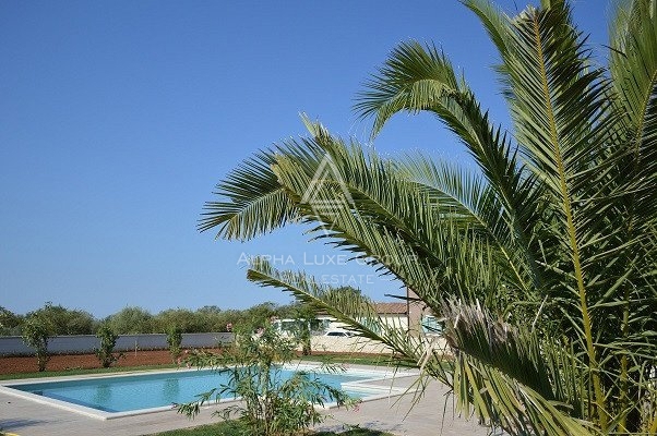 Istria, Svetvinčenat: Stupenda villa con ampio giardino