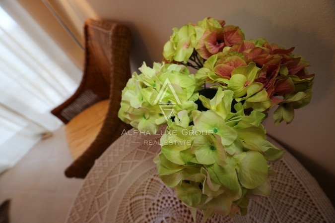 Istria, Svetvinčenat: Stupenda villa con ampio giardino