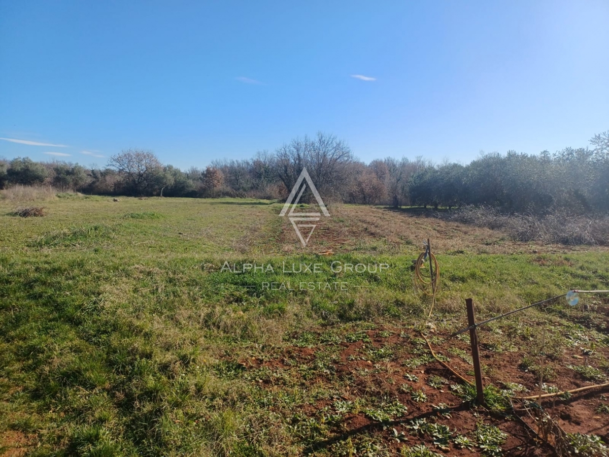 Vabriga, Istria – Due eccellenti lotti in vendita
