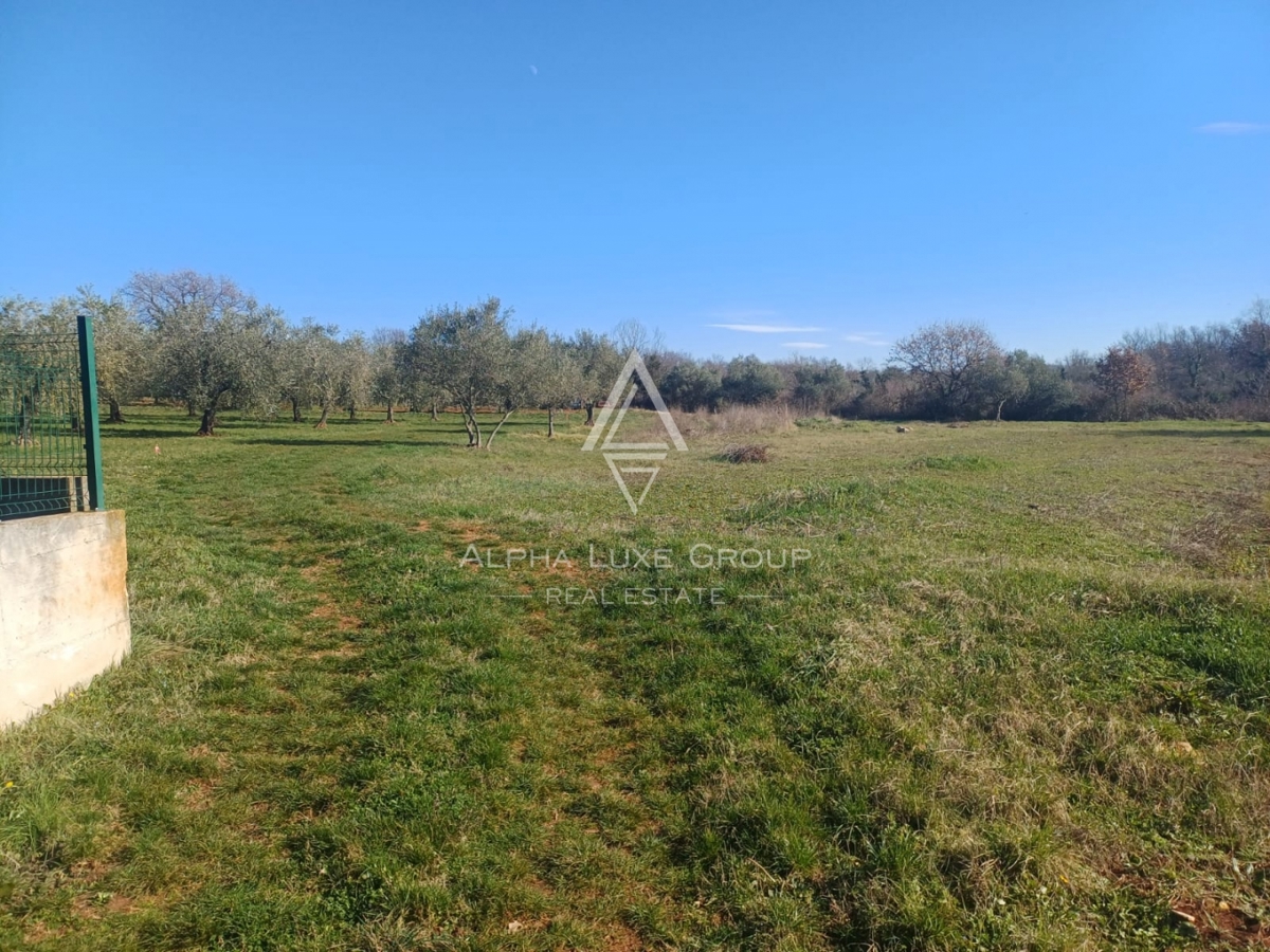 Vabriga, Istria – Due eccellenti lotti in vendita