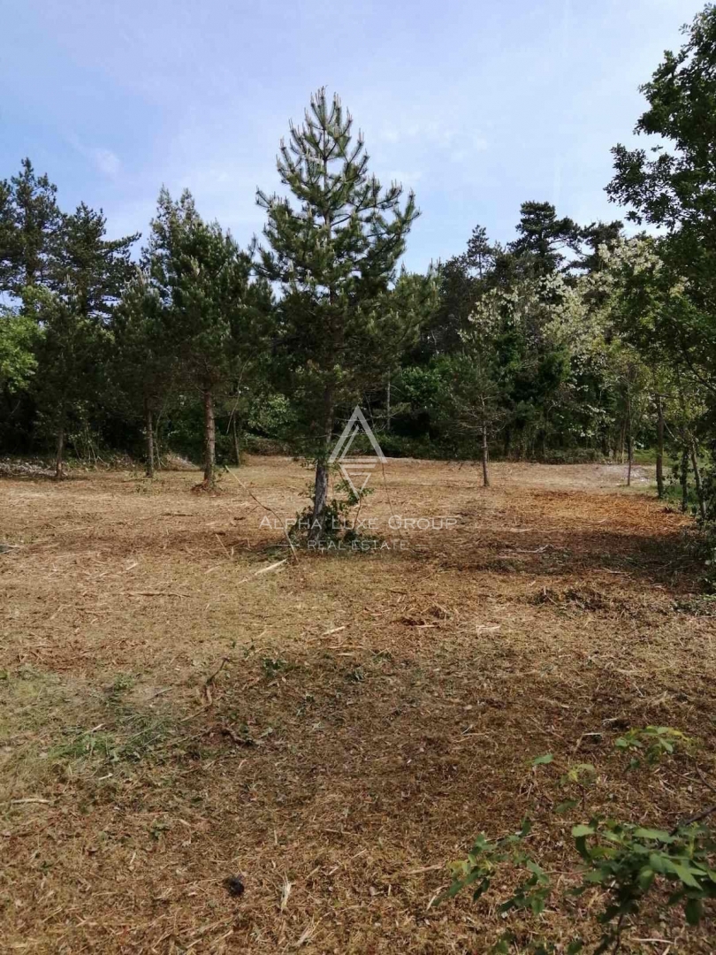 Istria, Labin – Terreno edificabile 2323 m2