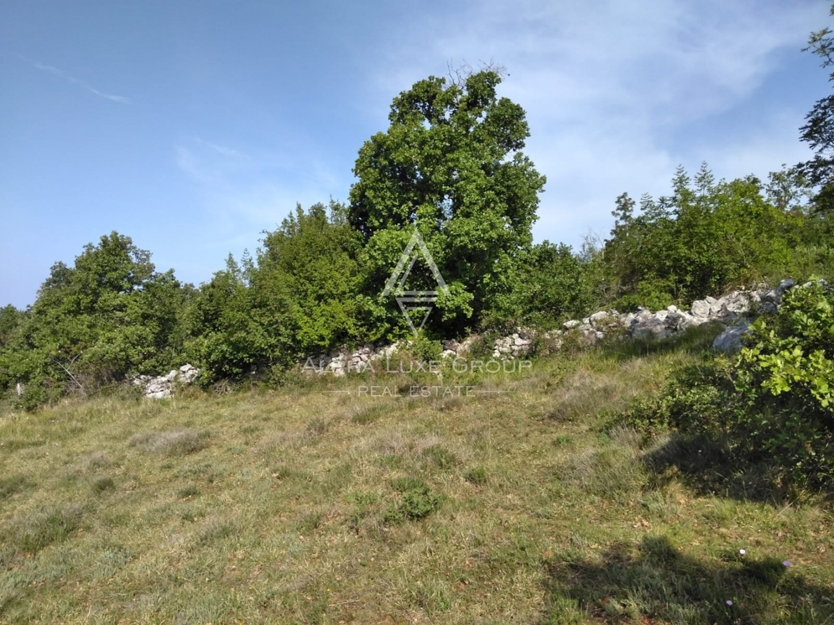 Terreno Poreč, 60.000m2