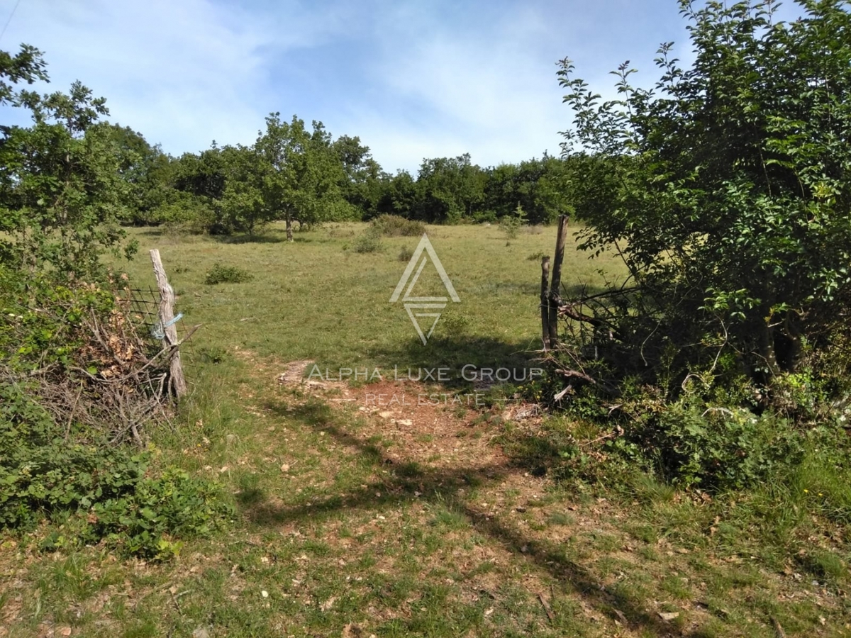 Terreno Poreč, 60.000m2