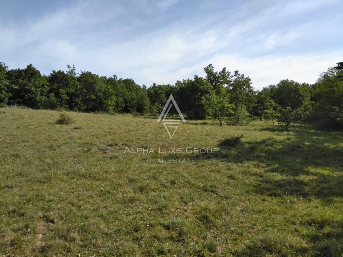 Terreno Poreč, 60.000m2
