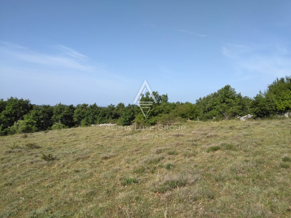 Terreno Poreč, 60.000m2
