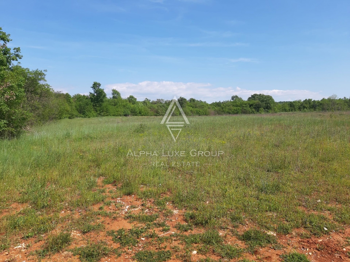 Casa con ampio giardino in Istria, Visignano