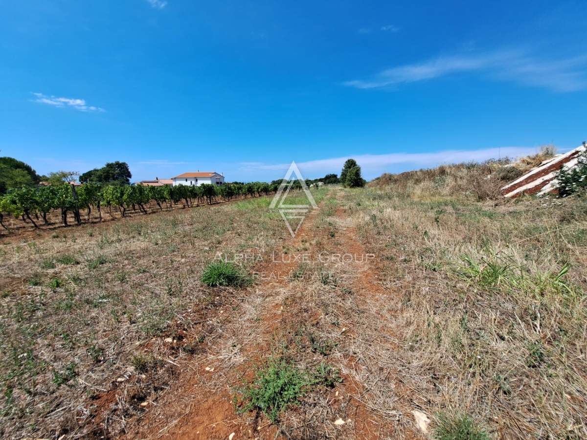 Terreno Kaštelir, Kaštelir-Labinci, 1.430m2