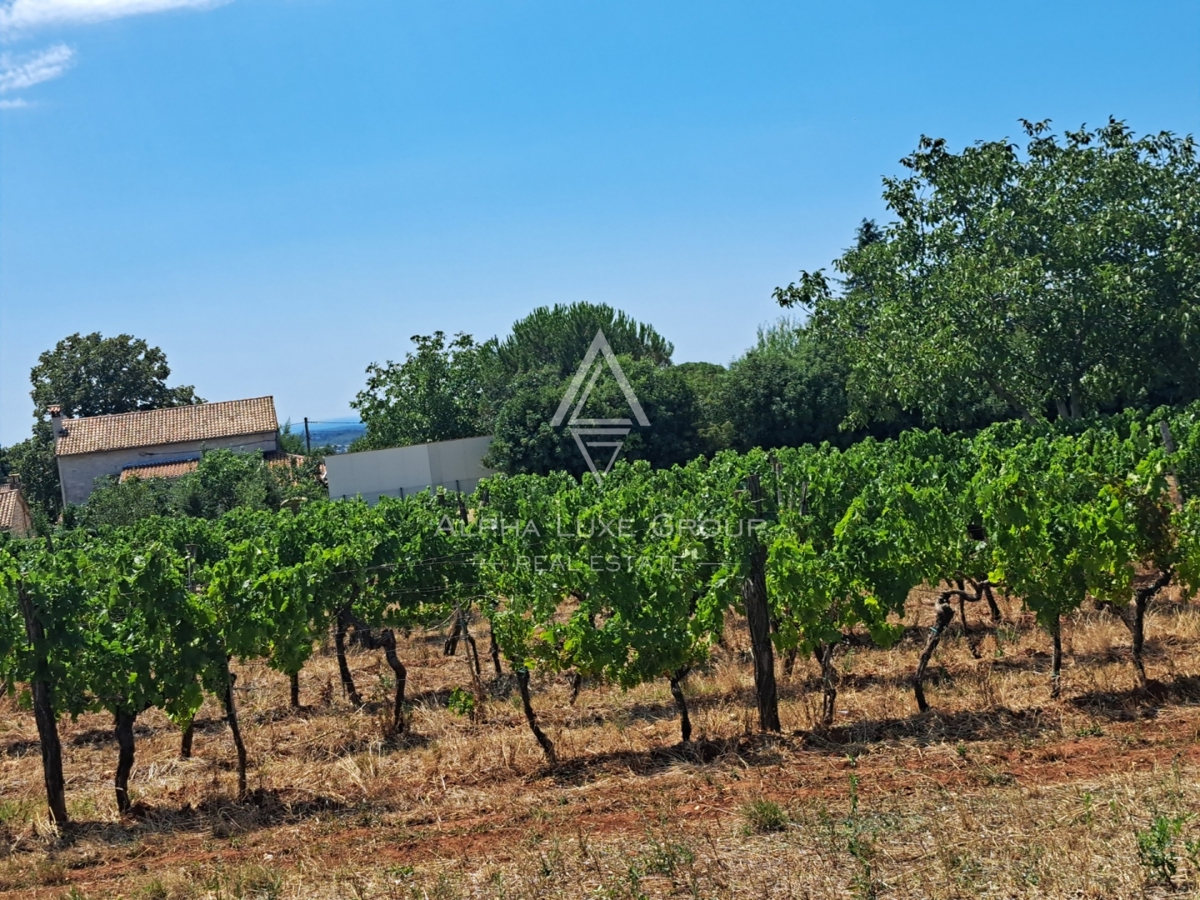 Terreno Kaštelir, Kaštelir-Labinci, 1.430m2