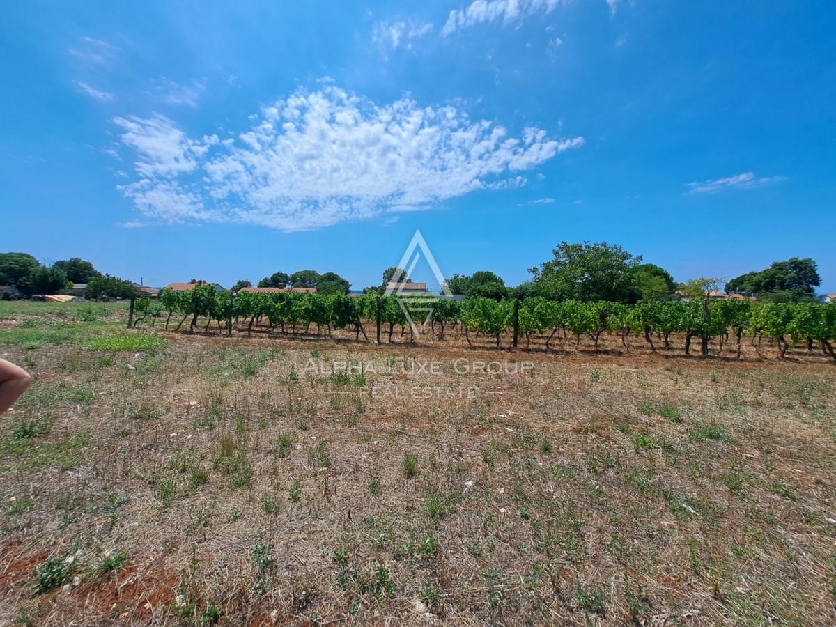 Terreno Kaštelir, Kaštelir-Labinci, 1.430m2